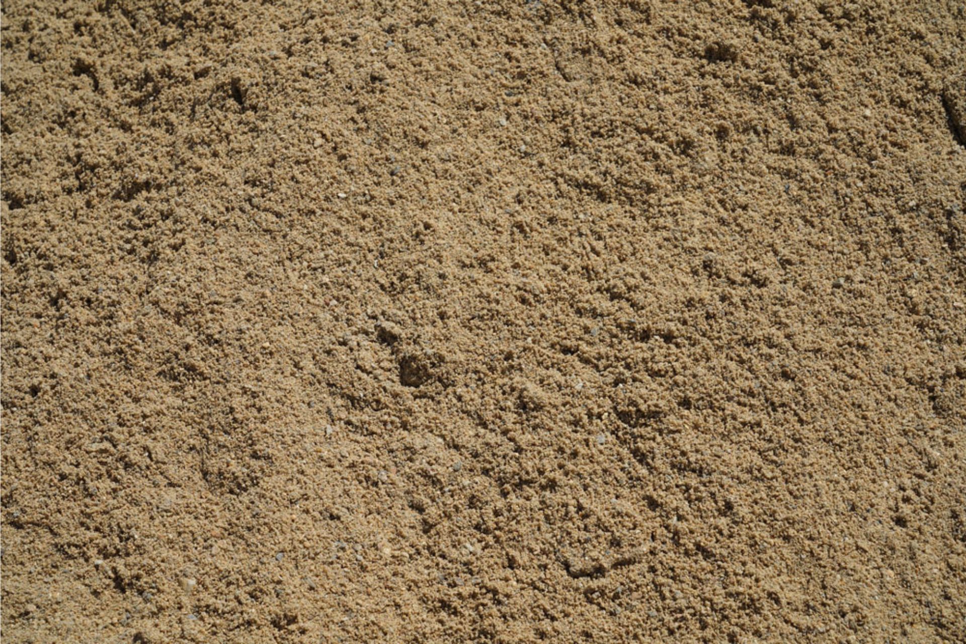 Screened Sand